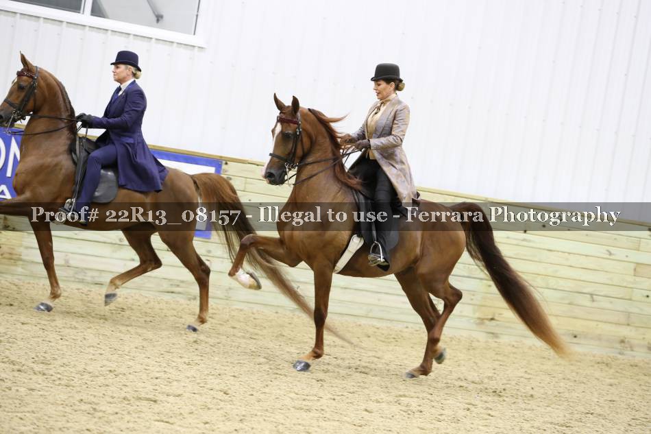 Proof 22R13_08157