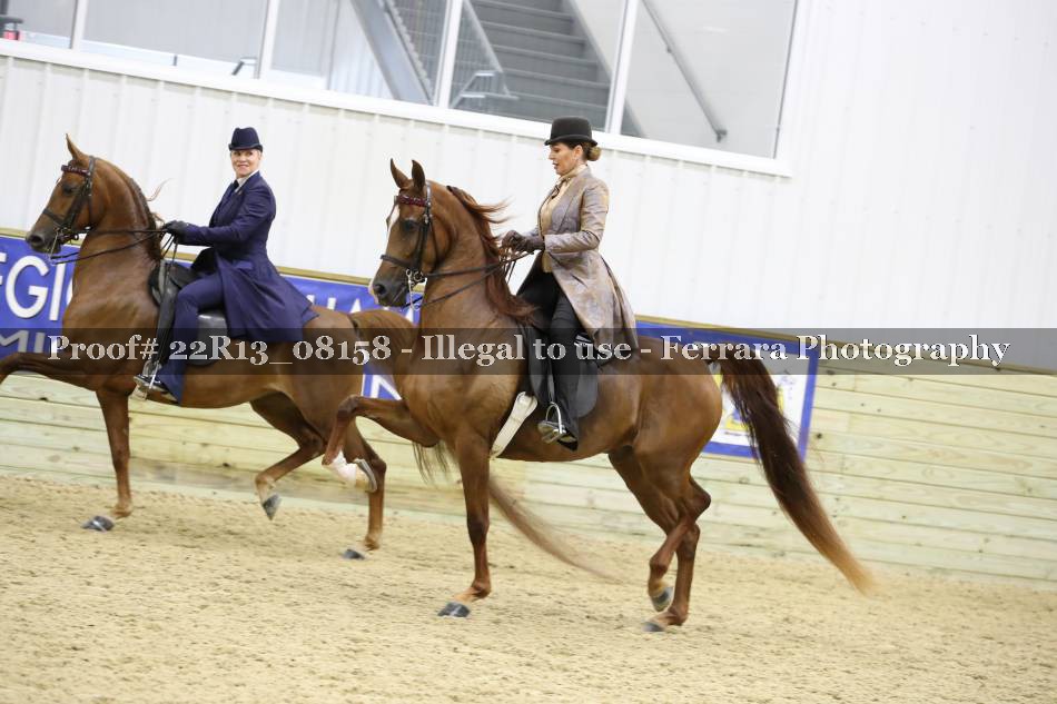 Proof 22R13_08158