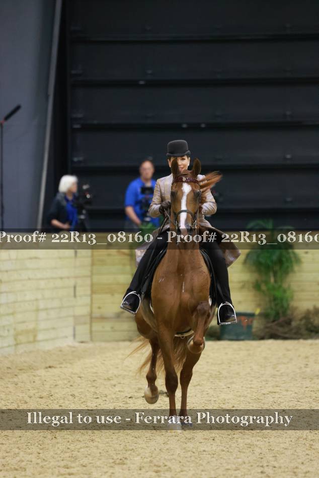 Proof 22R13_08160