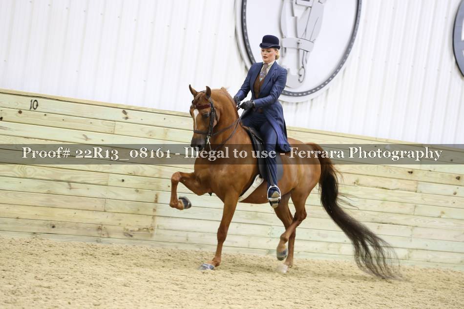 Proof 22R13_08161