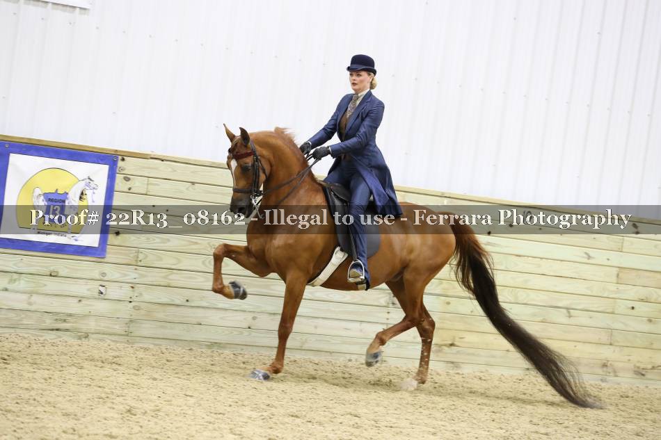 Proof 22R13_08162