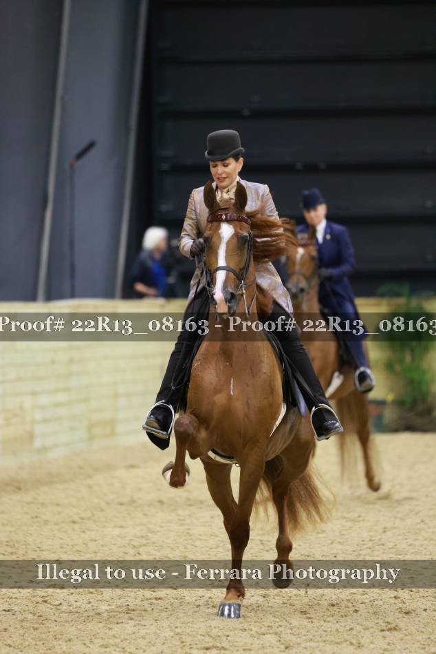 Proof 22R13_08163