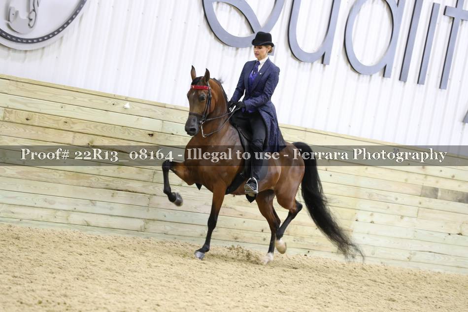 Proof 22R13_08164
