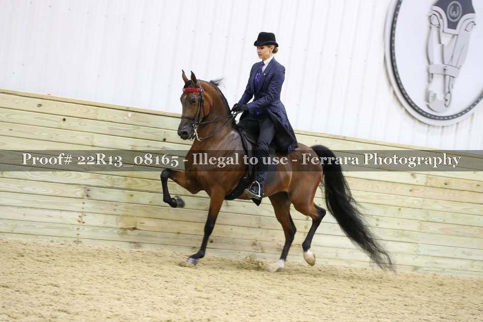 Proof 22R13_08165
