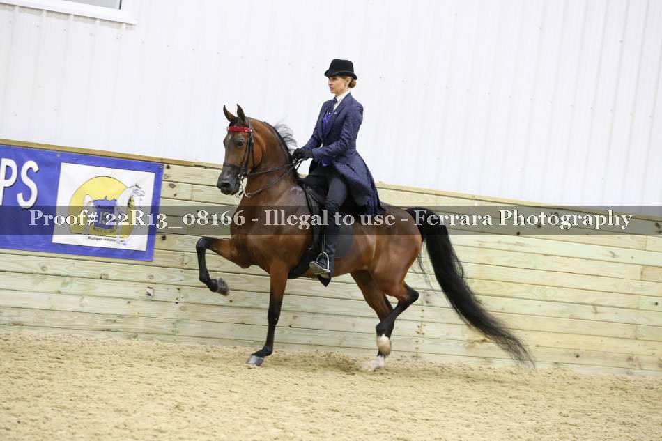 Proof 22R13_08166