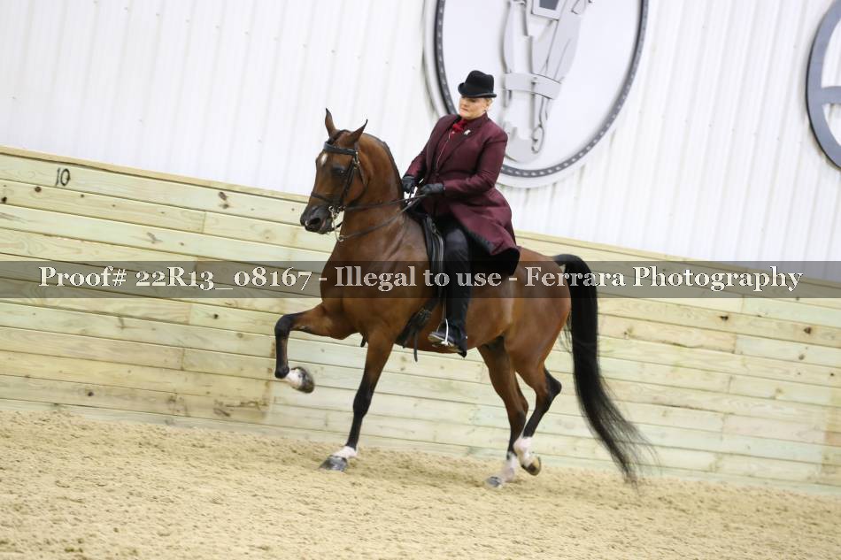 Proof 22R13_08167