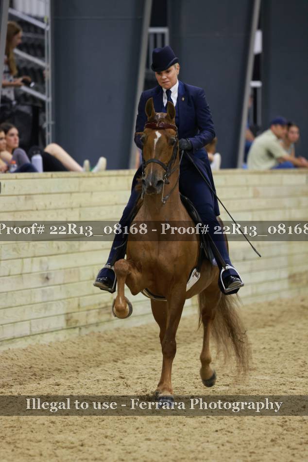 Proof 22R13_08168