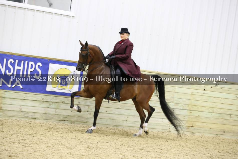Proof 22R13_08169