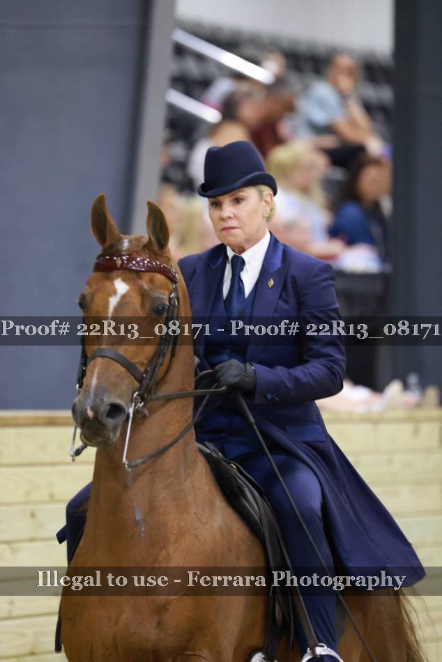 Proof 22R13_08171