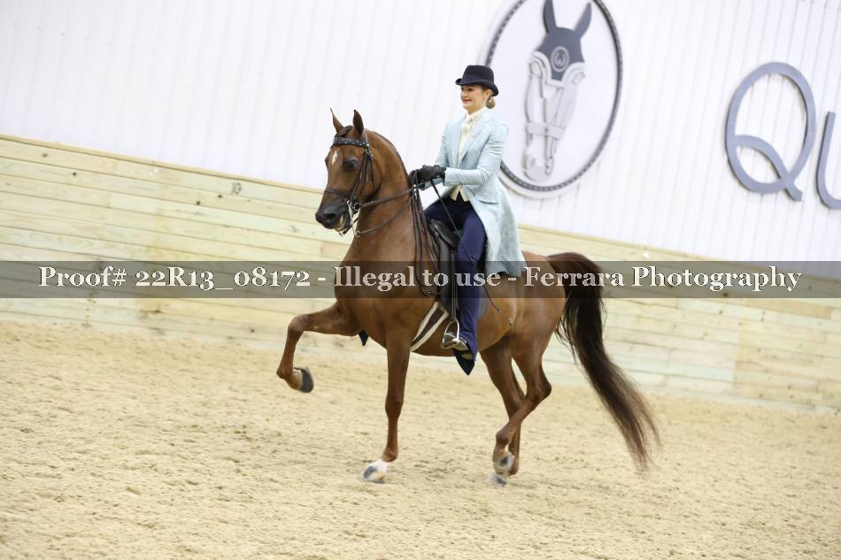 Proof 22R13_08172