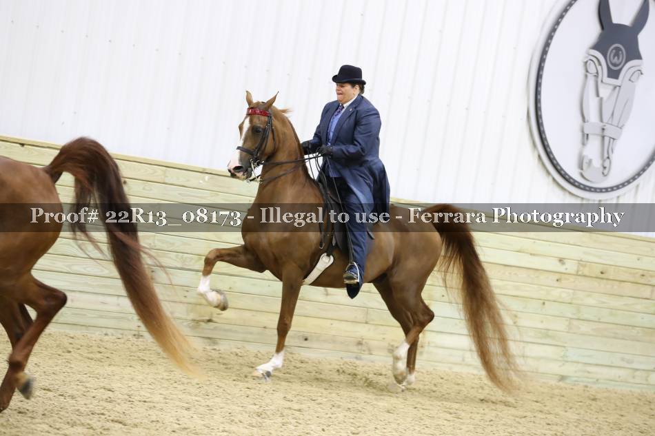 Proof 22R13_08173