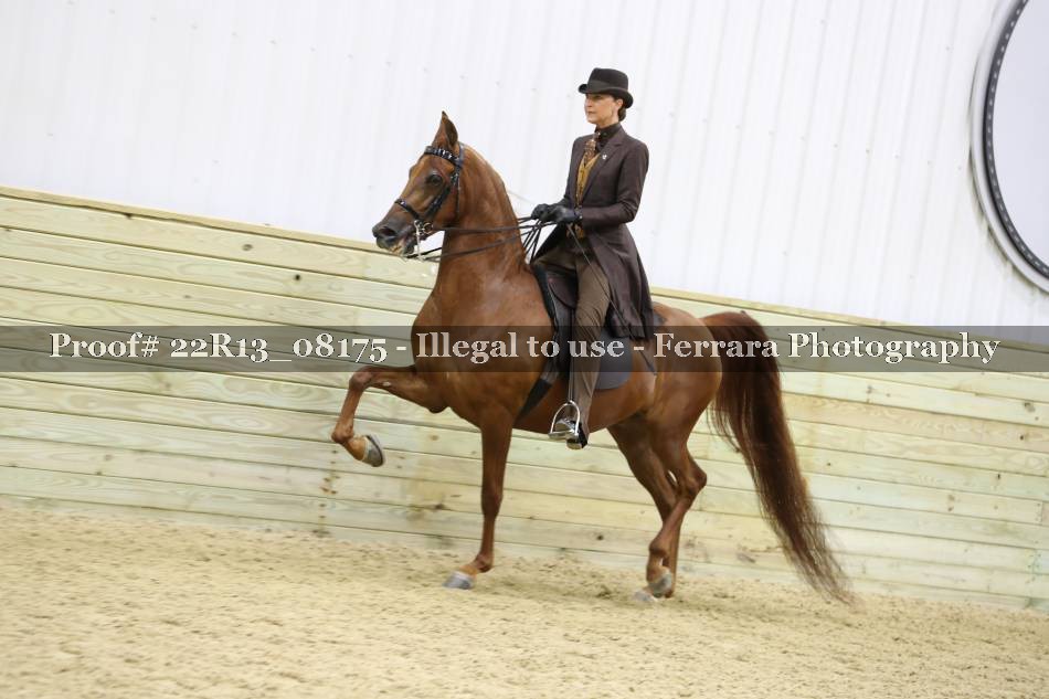 Proof 22R13_08175