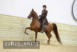 22R13_08175 proof