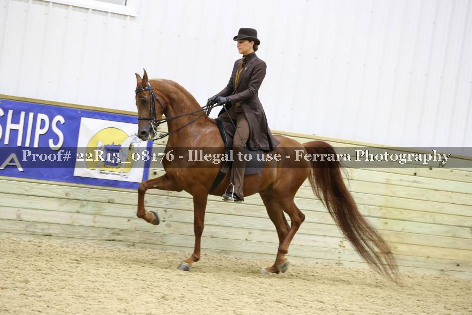 Proof 22R13_08176