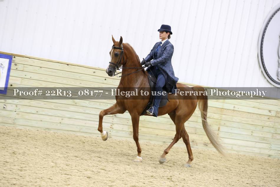 Proof 22R13_08177