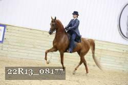 22R13_08177 proof