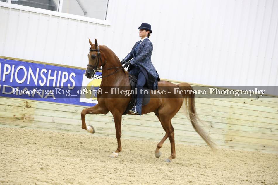 Proof 22R13_08178