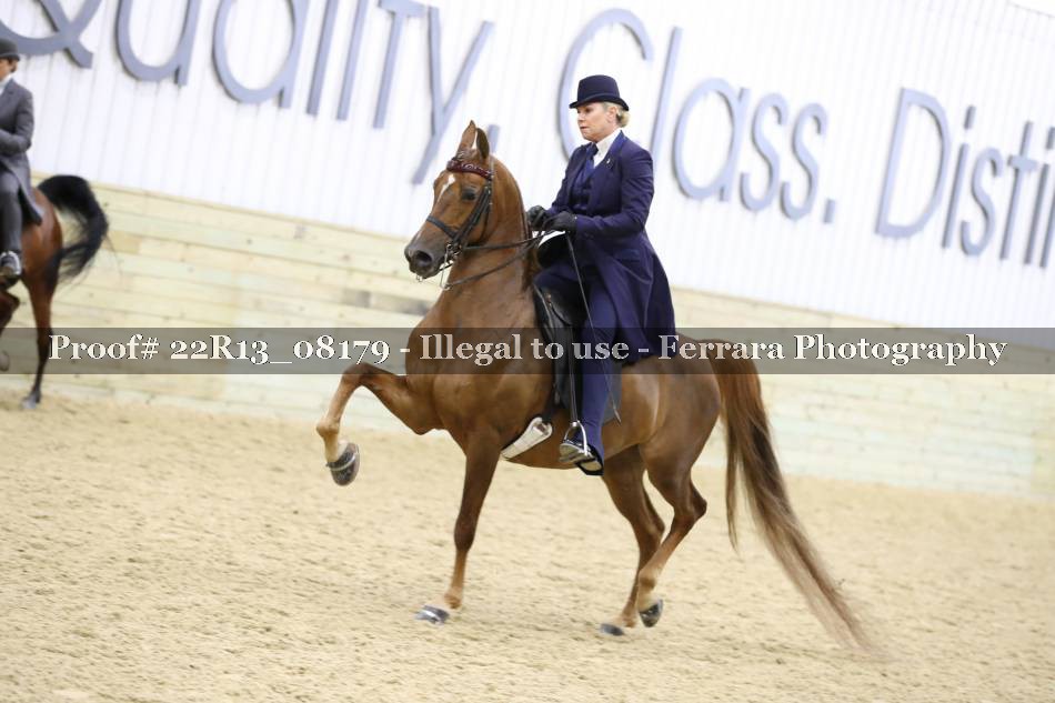 Proof 22R13_08179
