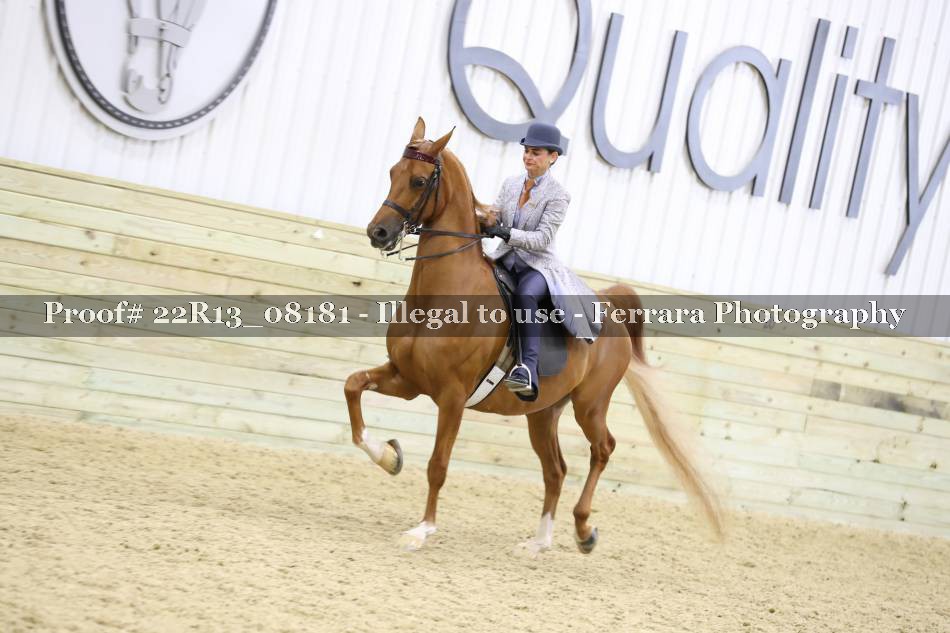 Proof 22R13_08181