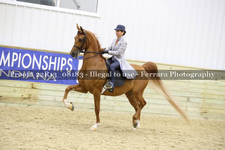 Proof 22R13_08183