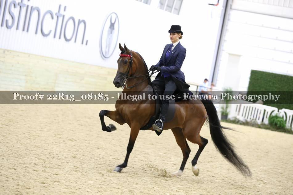Proof 22R13_08185
