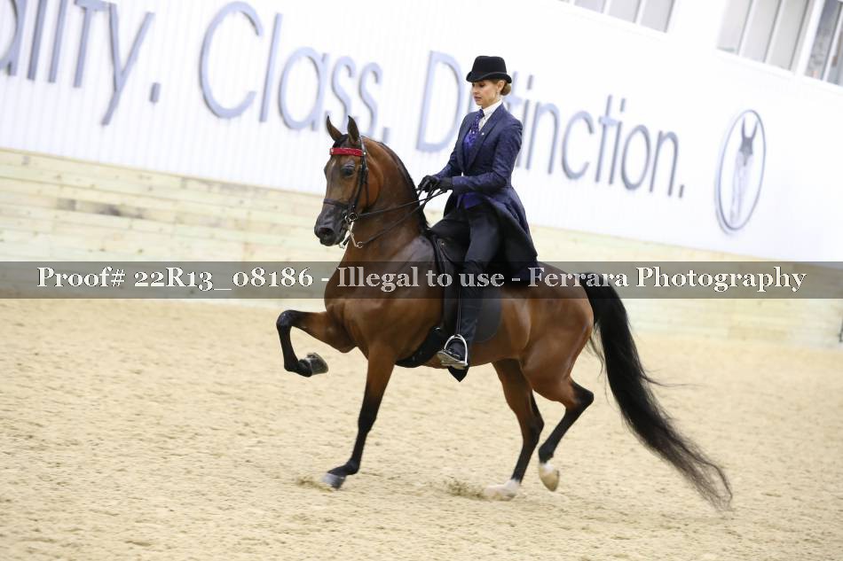 Proof 22R13_08186