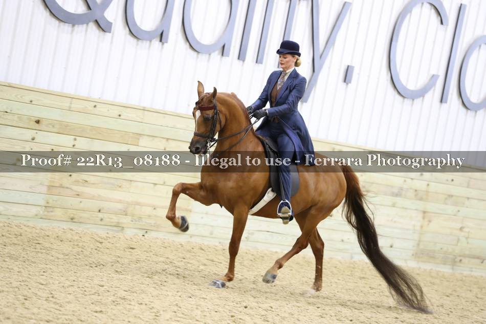 Proof 22R13_08188