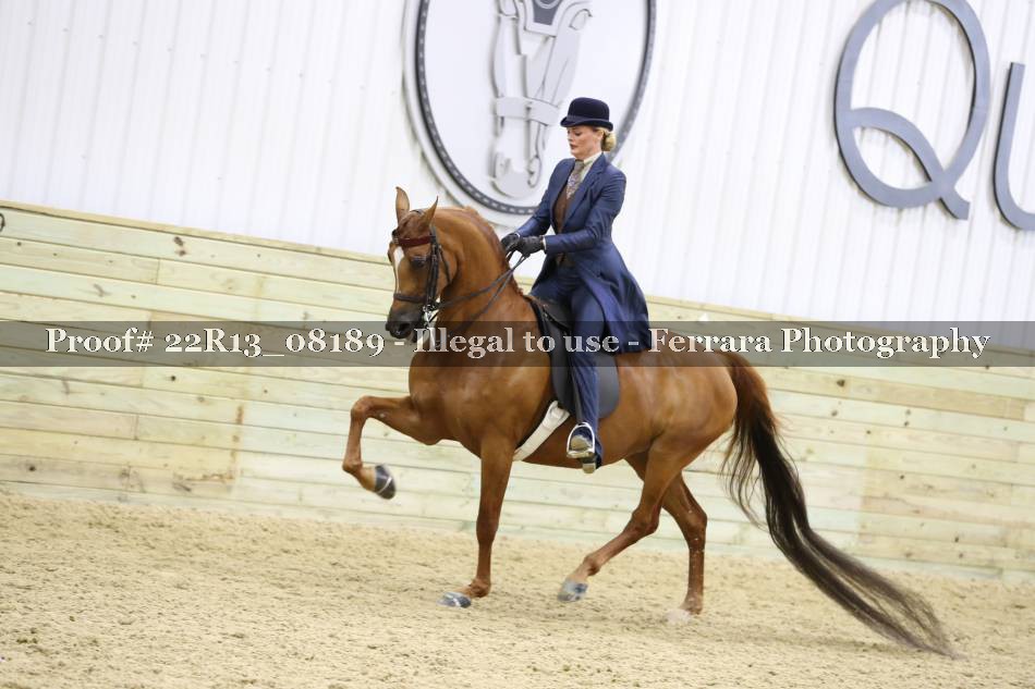 Proof 22R13_08189