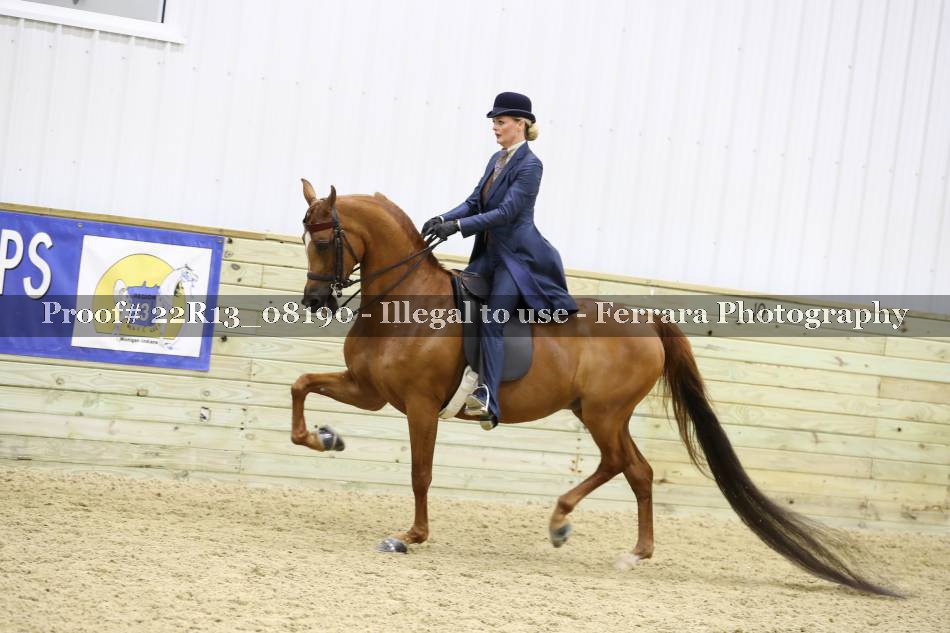 Proof 22R13_08190