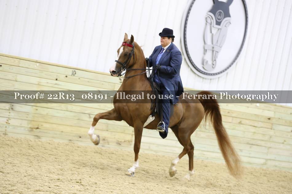 Proof 22R13_08191