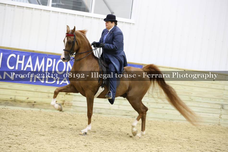 Proof 22R13_08192