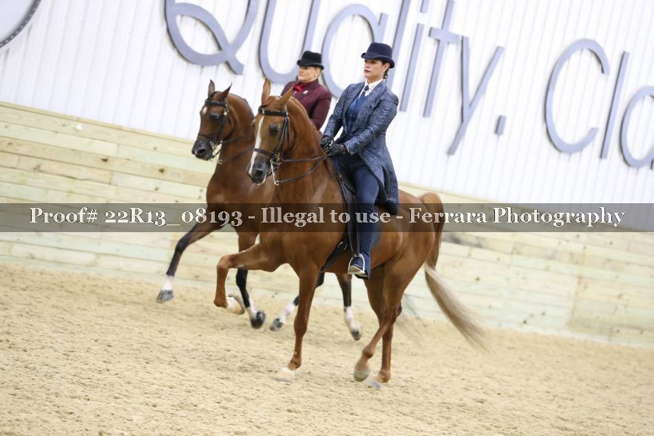 Proof 22R13_08193