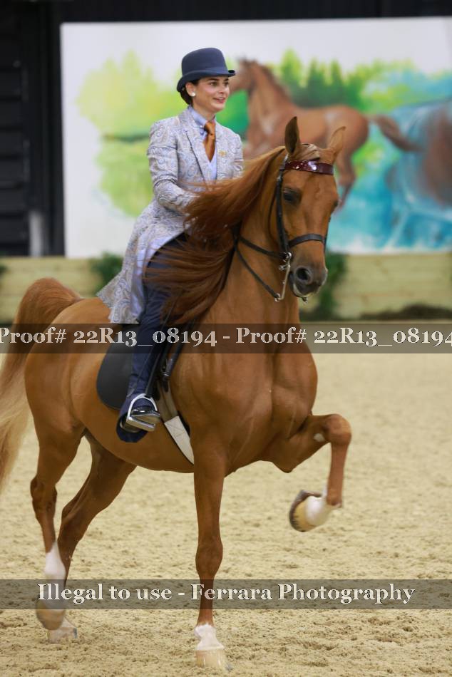 Proof 22R13_08194