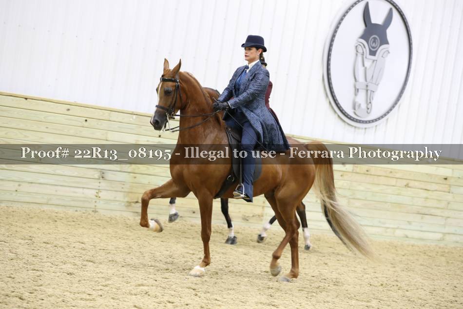 Proof 22R13_08195