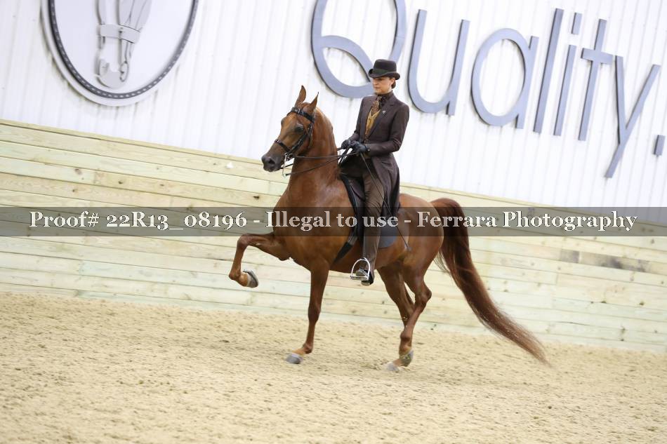 Proof 22R13_08196