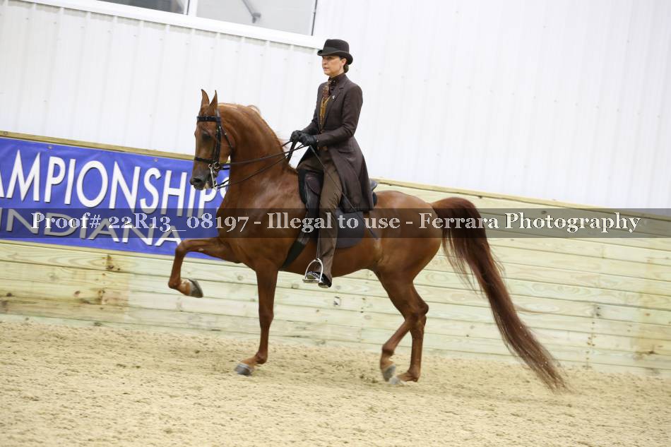 Proof 22R13_08197