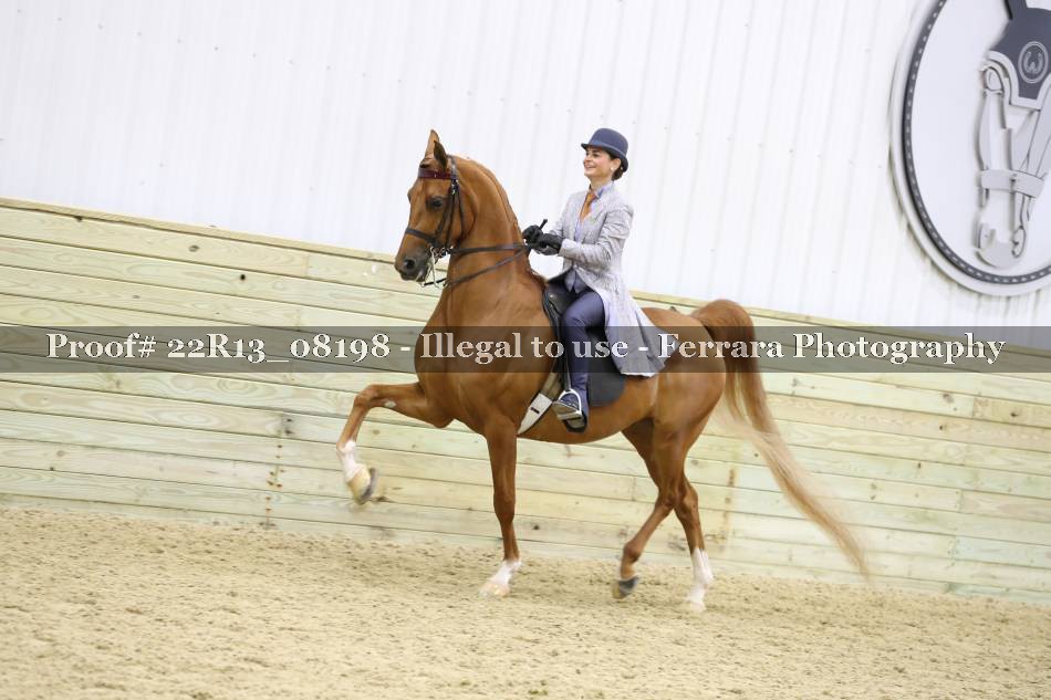Proof 22R13_08198