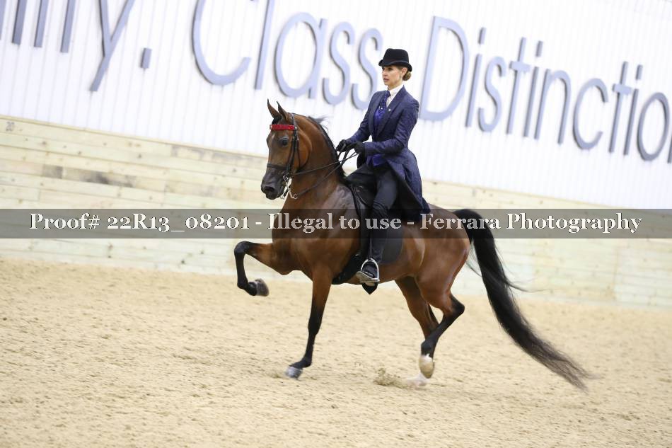 Proof 22R13_08201