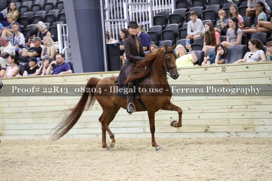 Proof 22R13_08204