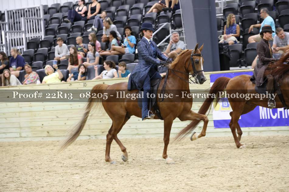Proof 22R13_08205