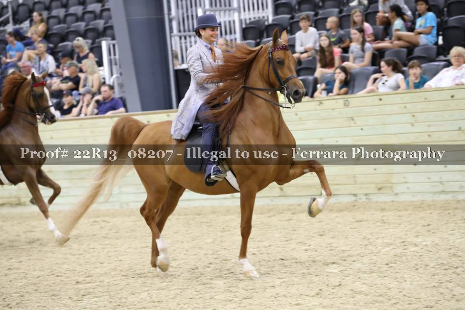 Proof 22R13_08207