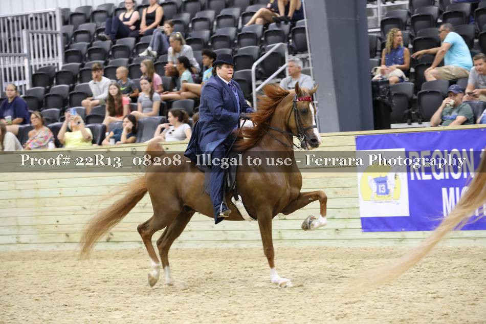 Proof 22R13_08208