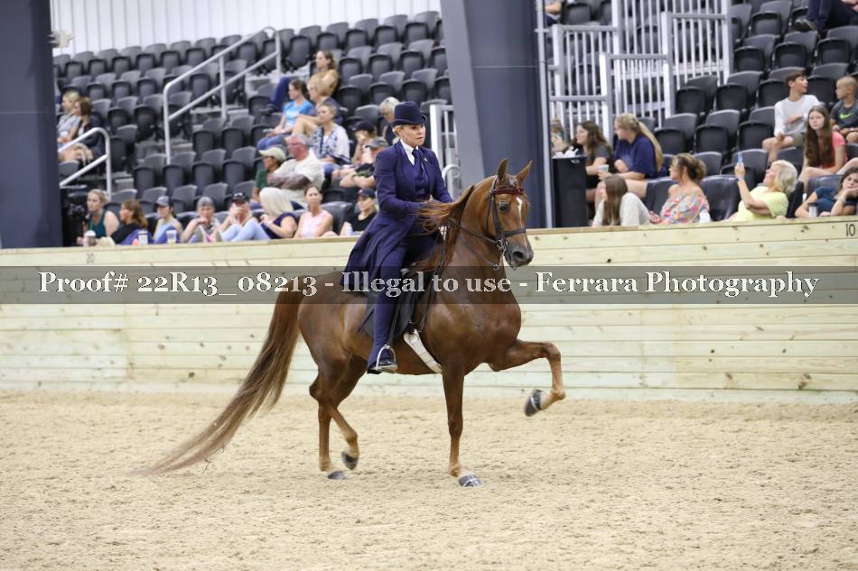 Proof 22R13_08213