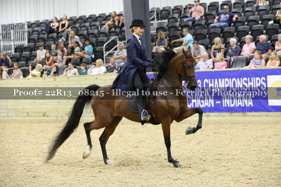Proof 22R13_08215