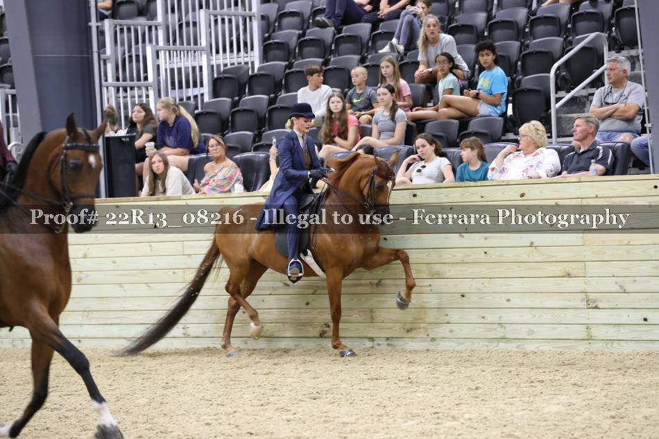 Proof 22R13_08216