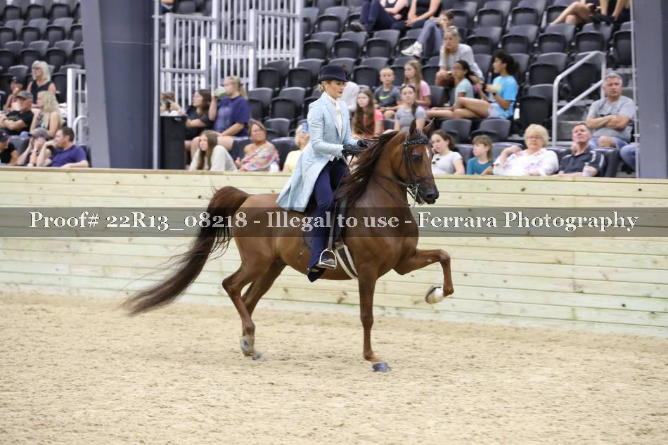 Proof 22R13_08218
