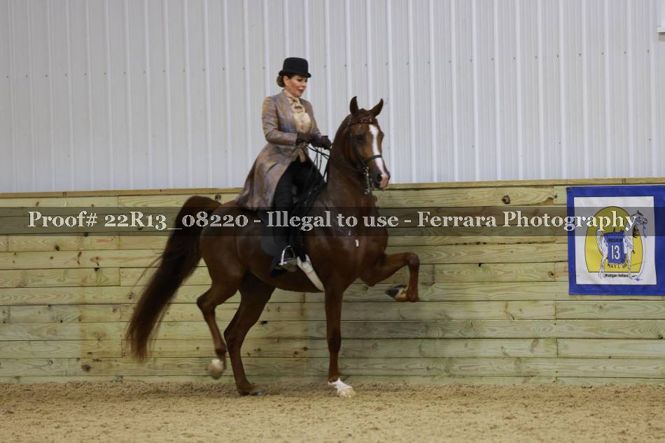 Proof 22R13_08220