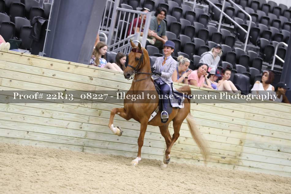 Proof 22R13_08227