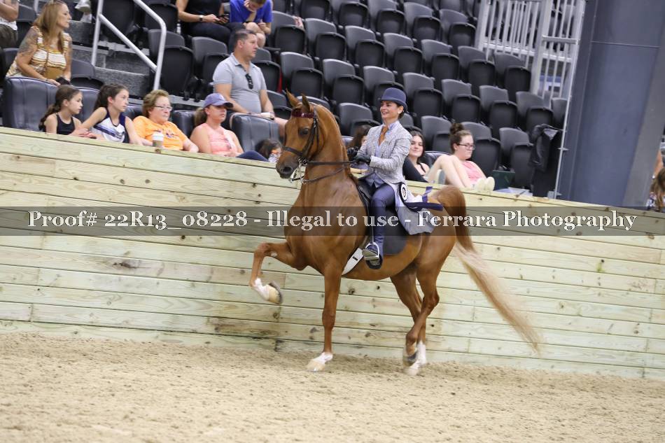 Proof 22R13_08228