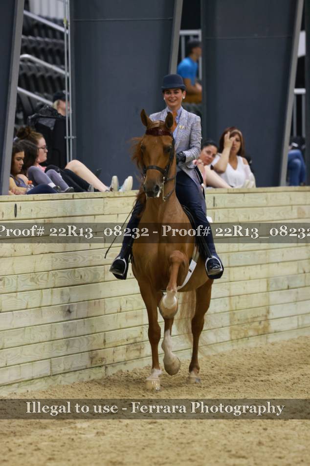 Proof 22R13_08232